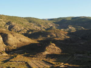 P9170025 300x225 - OLYMPUS DIGITAL CAMERA