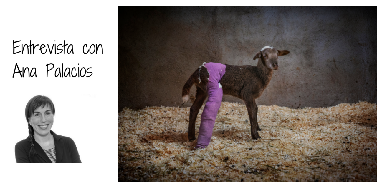 Ana Palacios en Hablemos de Fundaciones: “Lo importante para que una imagen tenga impacto es una amplia difusión”