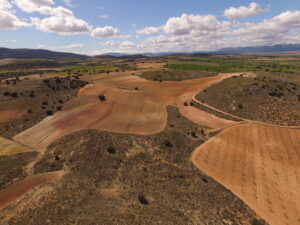 foto regeneration academy 300x225 - foto regeneration academy