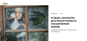 2021 12 02 09h43 30 300x142 - 2021-12-02_09h43_30