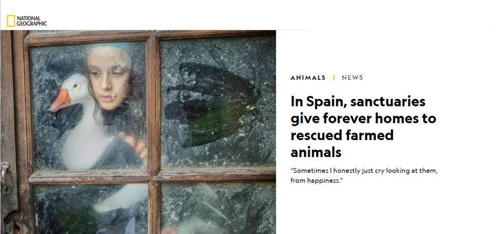 2021, un año de crecimiento y visibilización de las fundaciones PYMEF